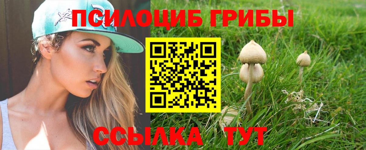 Галлюциногенные грибы Magic Shrooms  Псилоцибиновые грибы Magic Shrooms  Вход с VPN  Ливны 