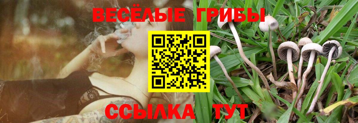 Псилоцибиновые грибы Psilocybine cubensis Ливны